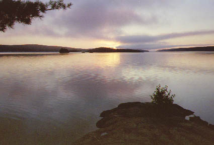 NTea_sunrise